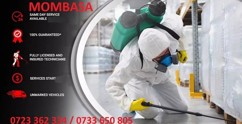 Fumigation and pest control services in Mombasa Fumigation and pest control services in Mombasa