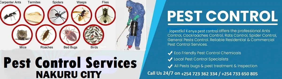 Fumigation and pest control services in Nakuru