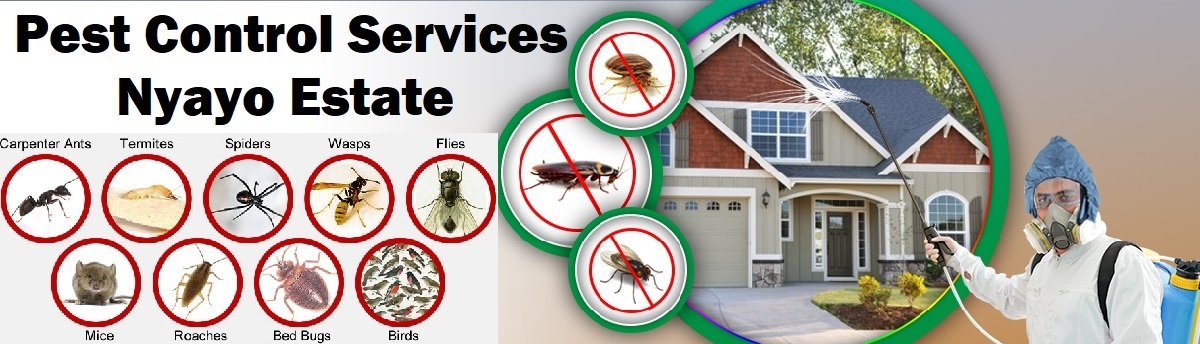 Fumigation and pest control services in Nyayo Estate