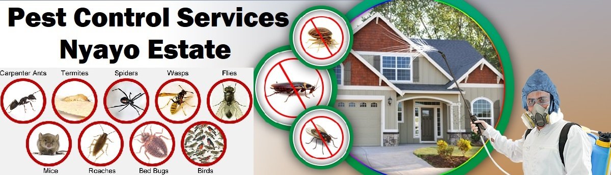 Fumigation and pest control services in Nyayo Estate Fumigation and pest control services in Nyayo Estate