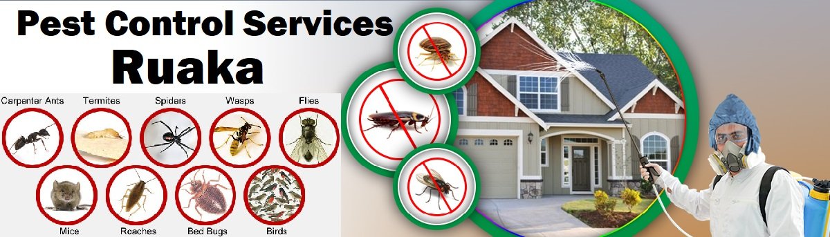 Fumigation and pest control services in Ruaka