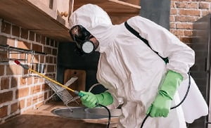 Fumigation services in Imara Daima Fumigation services in Imara Daima