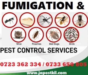 Fumigation services in Ruaka