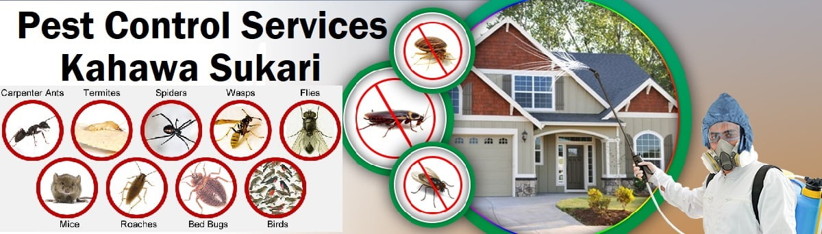 Kahawa Sukari fumigation and pest control services
