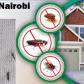 Mosquitoes control in Nairobi