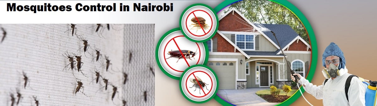 Mosquitoes control in Nairobi
