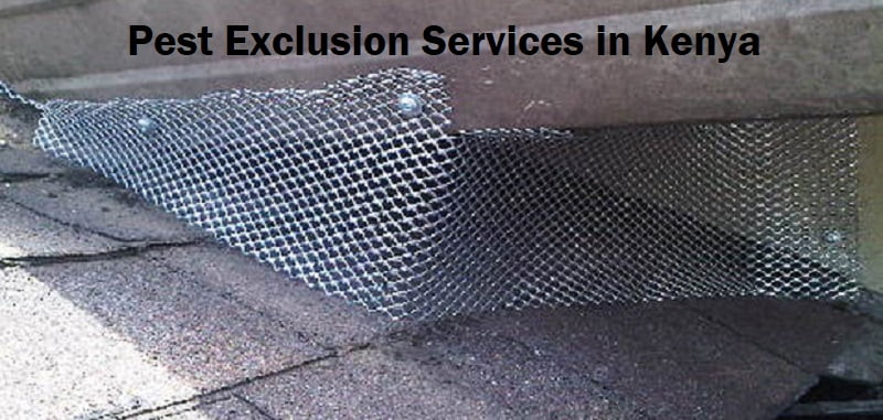 Pest exclusion services in Kenya Pest exclusion services in Kenya