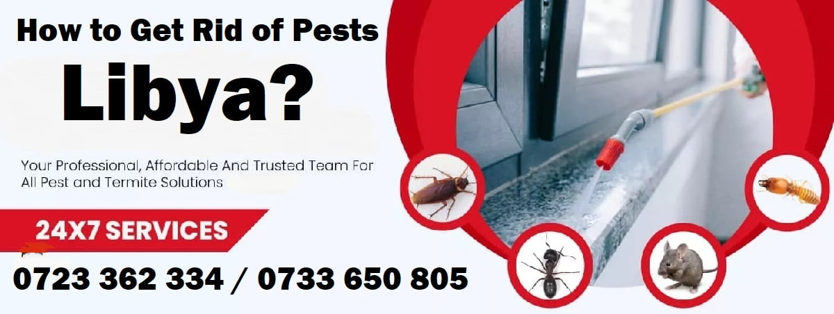 Pests & How to get rid of pests in Libya Tripoli?