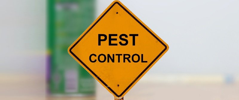 Signs of pest infestation in Kenya?