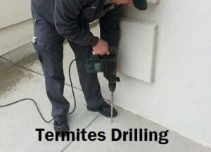 Nairobi termites control