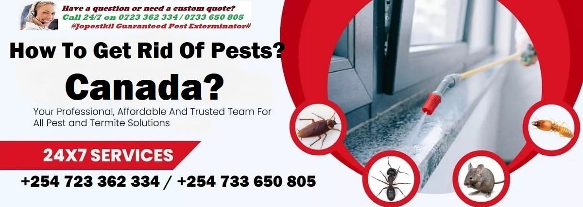 Canada & how to get rid of pests in Canada Ottawa?
