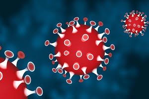 Coronavirus disease disinfection services