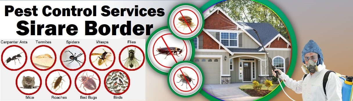 Fumigation and pest control services Sirare