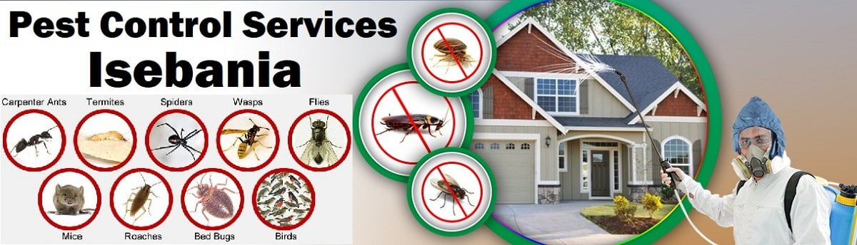 Fumigation and pest control services in Isebania