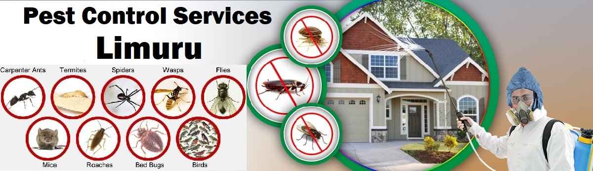 Fumigation & pest control services in Limuru