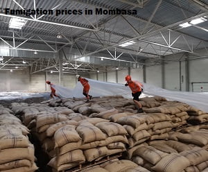 Fumigation prices in Mombasa Fumigation prices in Mombasa