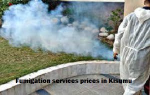 Fumigation prices in Nairobi Kenya Fumigation prices in Nairobi Kenya