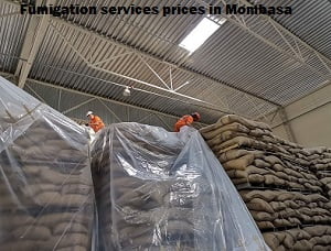 Fumigation services prices in Mombasa Fumigation services prices in Mombasa