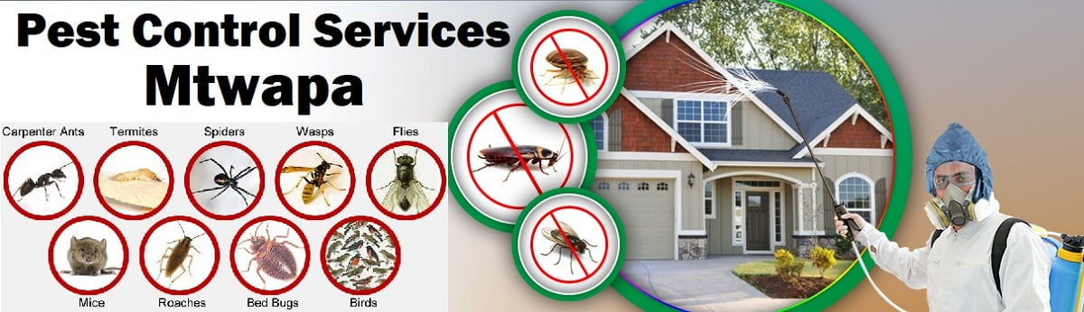 Mtwapa fumigation and pest control services