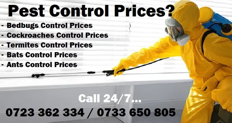Pest control prices in Nairobi Pest control prices in Nairobi
