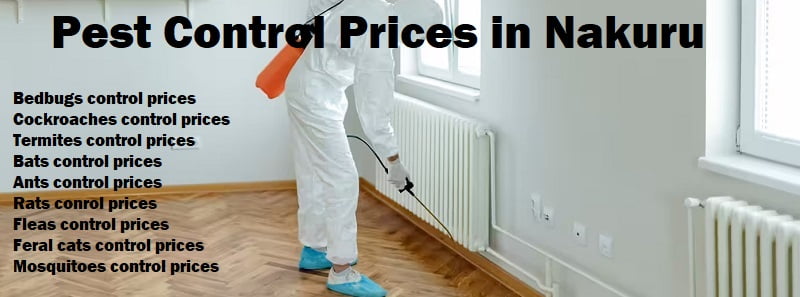 Pest control prices in Nakuru Pest control prices in Nakuru