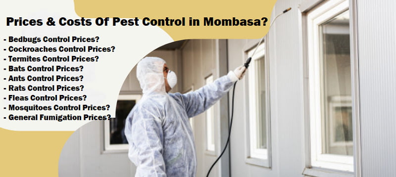 Pest control prices in Mombasa Pest control prices in Mombasa