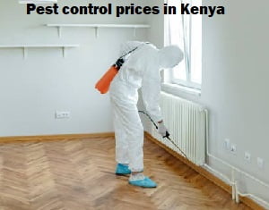 Prices & Cost of Fumigation and Pest Control Services in Kenya