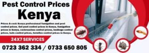 Prices & cost in Kenya and fumigation and pest control prices in Kenya
