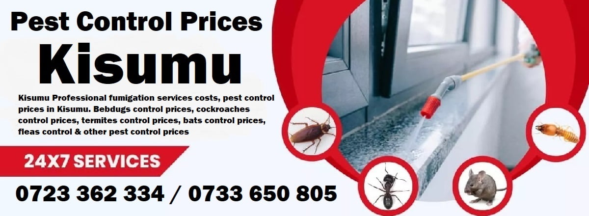 Prices & cost of fumigation and pest control services