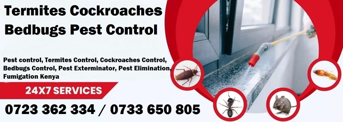 Termites cockroaches bedbugs pest control in Kenya