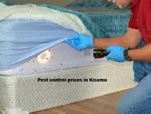 pest control prices in Kisumu