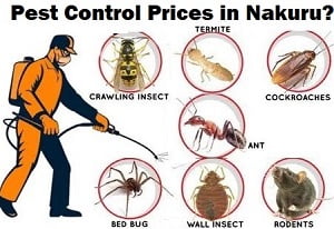 pest control prices in Nakuru pest control prices in Nakuru