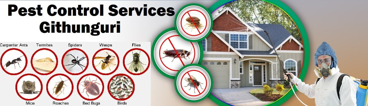 Fumigation & pest control services Githunguri