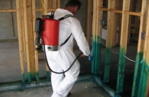 Termites control company in Kenya