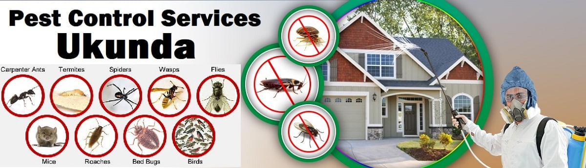 Fumigation and pest control services Ukunda