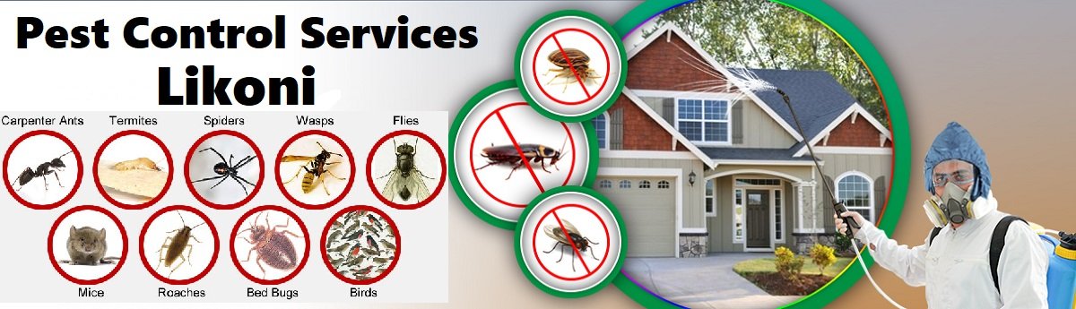 Fumigation and pest control services in Likoni