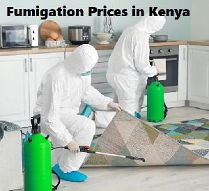 Fumigation prices in Malindi Fumigation prices in Malindi