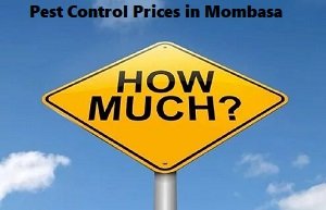 Pest control prices in Mombasa Pest control prices in Mombasa