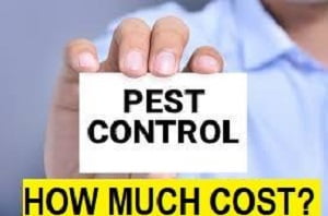 Prices Cost Fumigation & Pest Control Services Kisumu