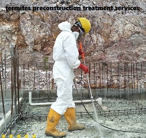 Termites preconstruction treatment services in Kenya
