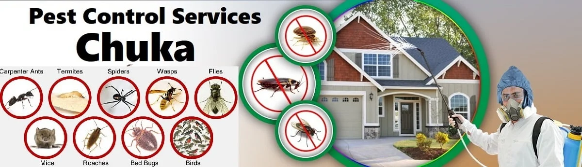 Fumigation and pest control services in Chuka
