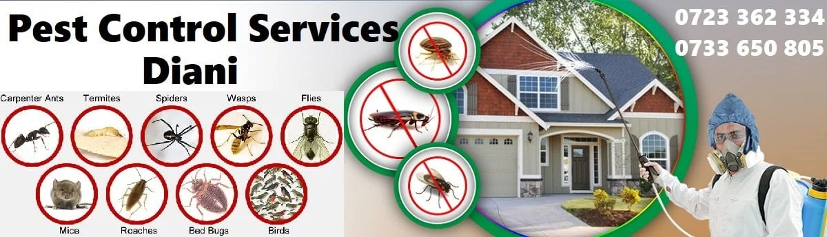 Fumigation and pest control services in Diani