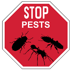 Snakes control in Kenya