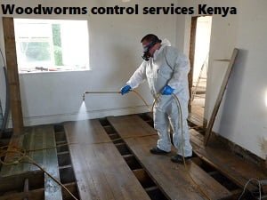 Woodworms control services in Kenya