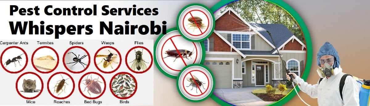 Fumigation & pest control in Whispers Nairobi