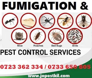 Fumigation services in Whispers Nairobi