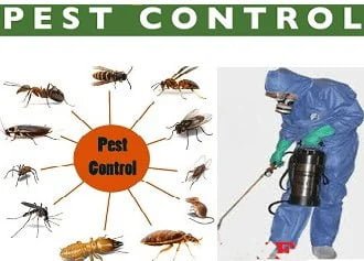 Pest control services in Spring Valley