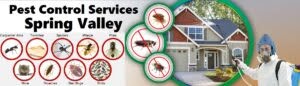 Spring Valley fumigation & pest control services