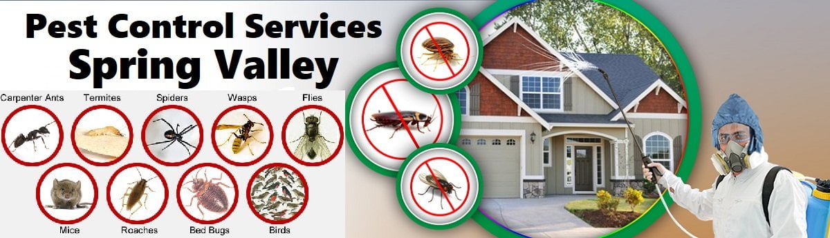 Spring Valley fumigation & pest control services