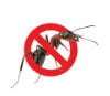 Ants control
